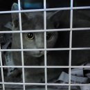 블루하이츠 이미지