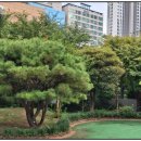 롯데캐슬스타어린이집 이미지