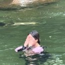 옥룡 포석정 이미지