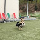 개랑와바 티스토리