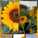 상계2동주민센터 이미지