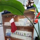 생활영어회화 (중급) 이미지