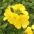 혜민농장 이미지