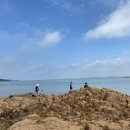 몽돌바다캠핑장 이미지