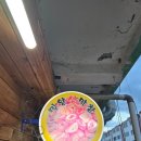 밀양생막창 이미지