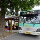 01-46 동구 Daum카페