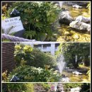 쉬리하우스 이미지