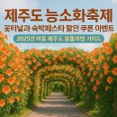 돌꽃펜션민박 | 제주도 숙박페스타 5만원 할인 쿠폰 받는 법 + 능소화축제 &amp; 가성비 숙소 추천