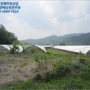 천안시병천면매성보건진료소 | 충남 천안시 토지(전)경매, 천안시 동남구 병천면 관성리 # 2015타경6660 #