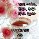 주말입니다~ 이미지
