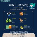다온글로벌투어