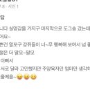 도그송 강아지분양 인천 송도점 이미지