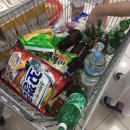 소동아이레 | [공지] 가족여행으로 가기 좋은 거제도 펜션 : 거제도 소동아이레 펜션