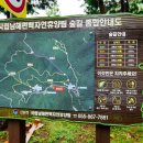 국립남해편백자연휴양림 이미지