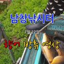 오늘은향어 이미지