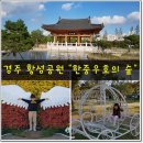 한중우호의숲 이미지