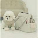 모던켄넬 이미지