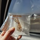 세종대전공주부여 여행..그냥 충남권 여행..