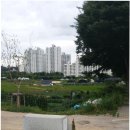 강남동로3 이미지