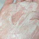 제이에스초이스 이미지