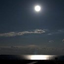 월광(Moon Light) Daum카페