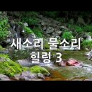새소리물소리 이미지