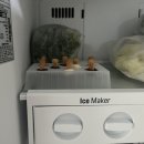 채희농장 이미지