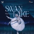 부산문화회관 이미지