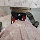 11500-15-14-24 | [강남궁 산후조리원] 골드룸 14박15일 솔직후기(24년 11월)