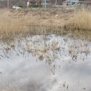 오류내낚시터 이미지