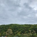 인호목장 이미지