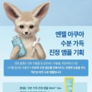 비욘드 엔젤아쿠아 수분 가득 진정 앰플 더블기획 땡스 에디션 후기