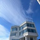 당신의안목 브리에 이미지