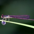 중용의마음 이미지