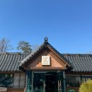 [양평] 쭈꾸미 맛집 “돗가비불쭈꾸미” / 한옥 대형카페 “하날” 추천 후기