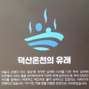 덕산사우나 | 덕산 스플라스 리솜 워터파크(사우나 후기와 준비물)