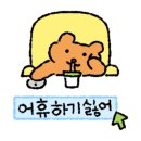 샐리헤어