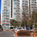 아가페온누리약국 이미지