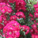 유곡농장 이미지