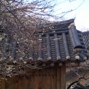 매화마을1 이미지