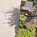 달밤한옥펜션 이미지