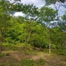 느티나무2농장 이미지