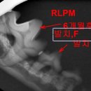 아쿠아 종합동물병원 이미지