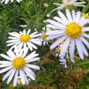 공작산비룡펜션 이미지