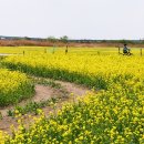 대저생태공원 이미지