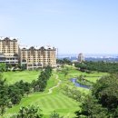 델피노숲 이미지