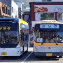 인제초삼거리 이미지