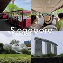 더베이 | 싱가포르 가볼만한곳 가든스 바이 더 베이 오디오 투어 버스 후기 가족여행 필수