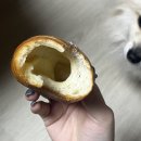 바니스픽