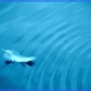 이노셀러 이미지